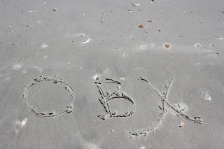 OBX5.jpg