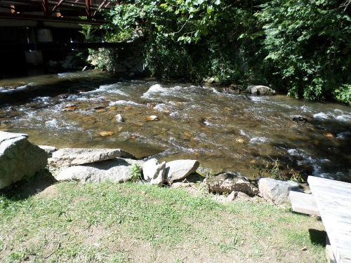 Mountain Trout Is N.C. Good
