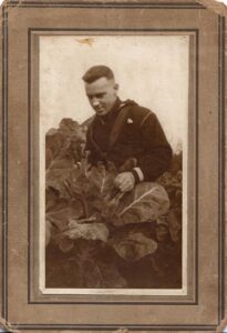 Black-and-white photograph of a young man harvesting collard greens in a garden, surrounded by large leafy plants.