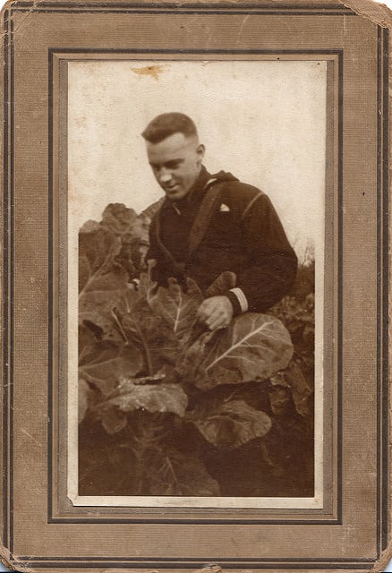 Black-and-white photograph of a young man harvesting collard greens in a garden, surrounded by large leafy plants.